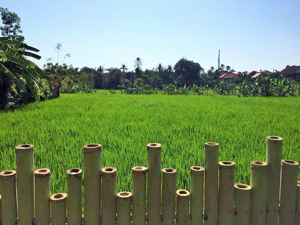 Bali Green Hostel Семиньяк Экстерьер фото