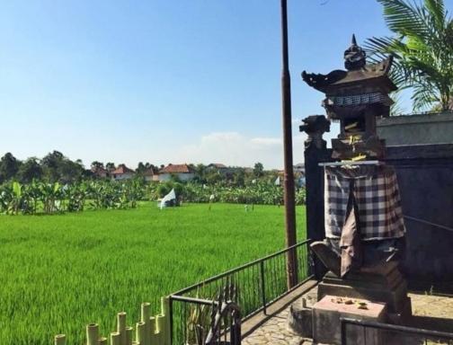 Bali Green Hostel Семиньяк Экстерьер фото